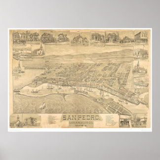 San Pedro, CA. Panoramisk Karta 1895 (1319A) Poster