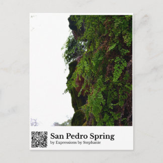 San Pedro-källan Vykort