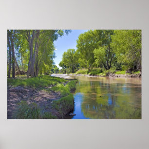 San Pedro River nära Fairbank Poster