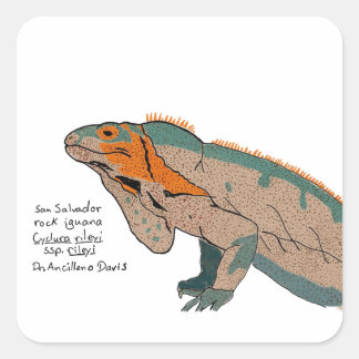 San Salvador Klipp Iguana Klistermärke