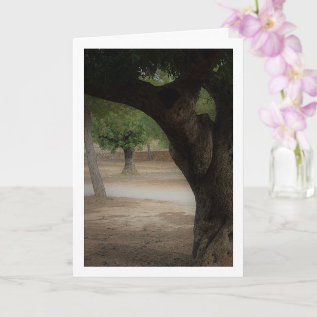 San Vicente Park Lliria, Valencia Kort (Orkide)