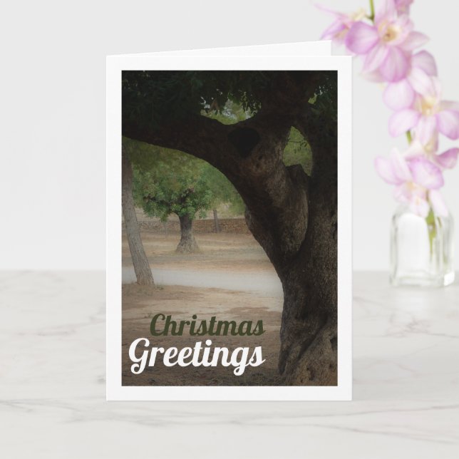 San Vicente Park Lliria, Valencia Kort (Orkide)