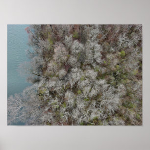Sanatoga Skogen SchuylDöda River PA Poster