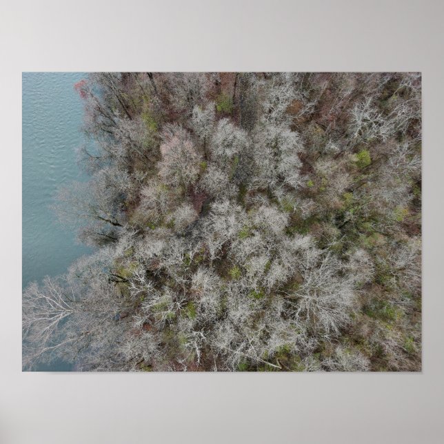 Sanatoga Skogen SchuylDöda River PA Poster (Framsidan)