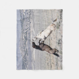 Sancho och Casper Fleecefilt