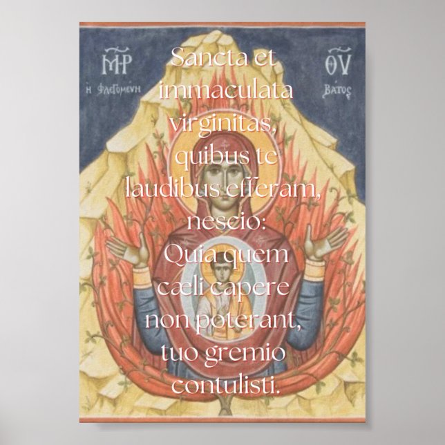 Sancta et Immaculata Print Poster (Framsidan)