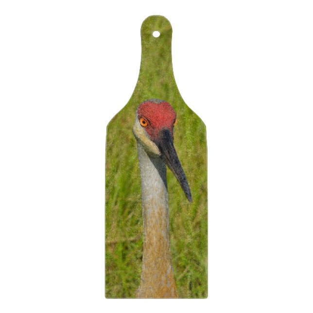 Sand Backe Crane Tittar i Kamera (Framsidan)