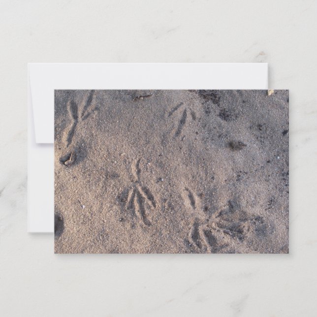 Sand backe kranar i sand på ett kort (Framsida)