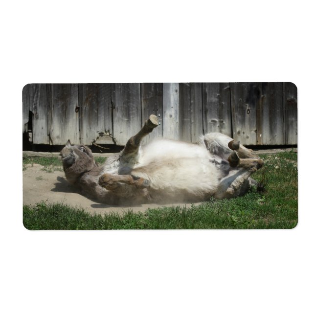 Sand Bathing Donkey Fraktsedel (Framsidan)