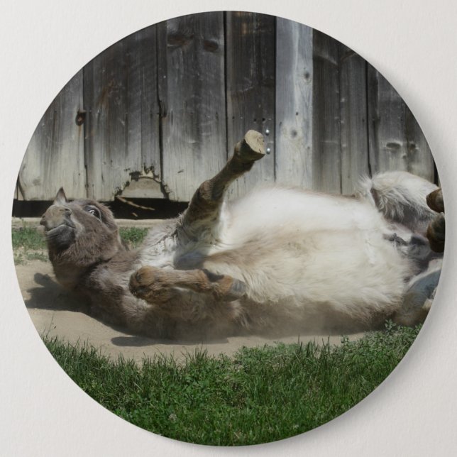 Sand Bathing Donkey Knapp (Framsida)