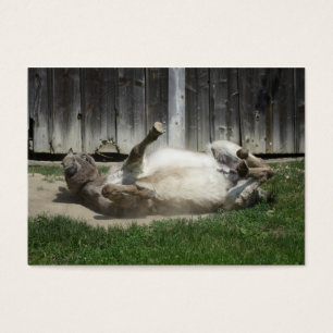 Sand Bathing Donkey Visitkort