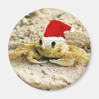 Sand Crab i jultomten Magnet