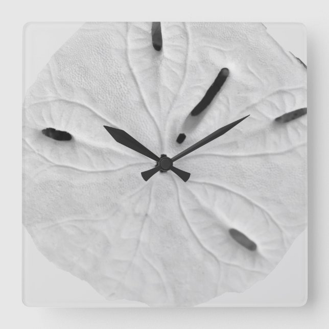 Sand Dollar Beach Coastal Black White Trendig Cool Fyrkantig Klocka (Framsida)