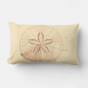 Sand Dollar Beach Illustration Lumbarkudde