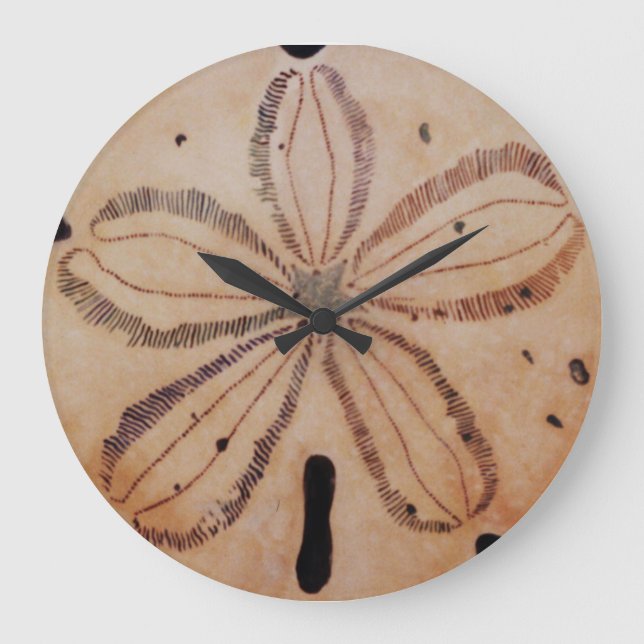 Sand Dollar Clock Stor Klocka (Framsida)