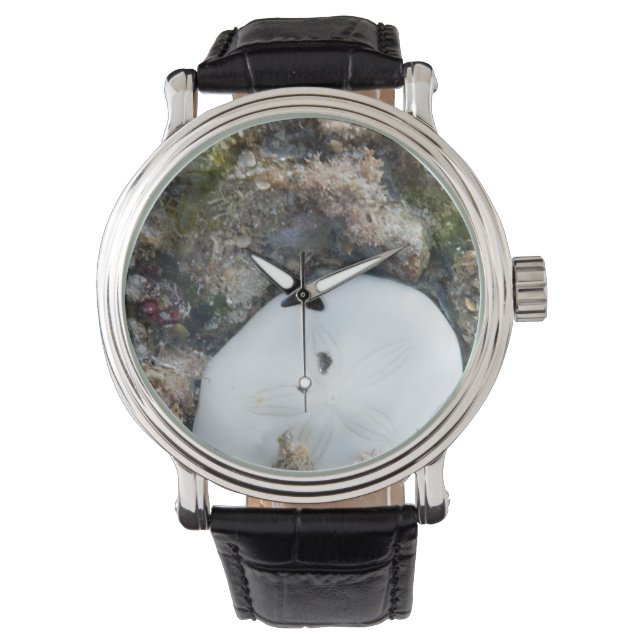 Sand Dollar i Fiji Reef vid låg tidvatten Armbandsur (Framsida)