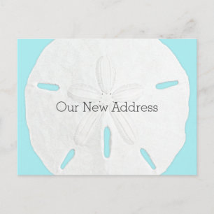 Sand Dollar Kust Ny Adress Meddelande Vykort