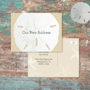 Sand Dollar Kust Ny Adress Meddelande Vykort