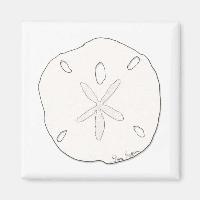 Sand Dollar Magnet (Framsidan)