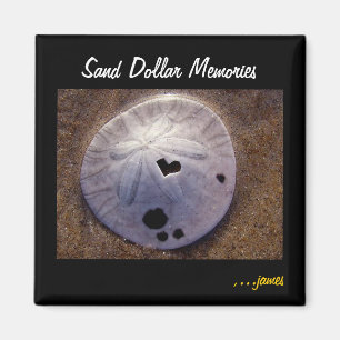 Sand Dollar Magnet