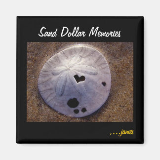 Sand Dollar Magnet