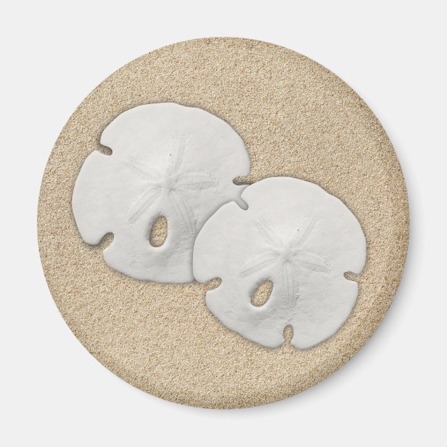 Sand Dollar Magnet (Framsidan)