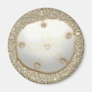 Sand-dollar på strand i glatt guld magnet