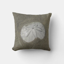 Sand Dollar Photo Blöt Sand Beach Nature Coastal
