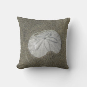 Sand Dollar Photo Blöt Sand Beach Nature Coastal Kudde