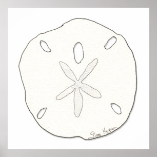 Sand Dollar-Poster och utskrifter Poster