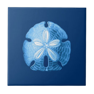 Sand Dollar Sea Life Print, Indigo Blue och White Kakelplatta