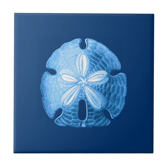 Sand Dollar Sea Life Print, Indigo Blue och White Kakelplatta (Framsidan)