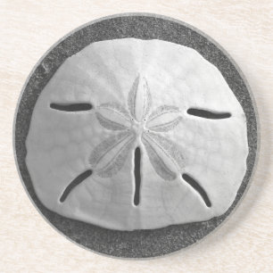 Sand Dollar Sea Snäcka Beach Drink Underlägg