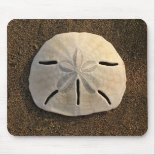 Sand Dollar Sea Snäcka Sand Beach Mousepad Musmatta