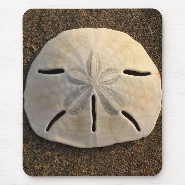 Sand Dollar Sea Snäcka Sand Beach Mousepad Musmatta (Framsidan)