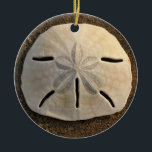 Sand Dollar Seashell Beach Ornament Pendant<br><div class="desc">Sand-dollarssäsongen ligger på stranden kusten med varsam sidbelysning från solnedgången. Bilden är ett foto från färg som tas i Playa Grande,  Costa Rica på Stilla Kusten. Anpassa den här snäckan till prydnadsbeläggning med din egen text eller bilder genom att anpassa den för att göra en speciell årstidsgåva!</div>