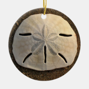 Sand Dollar Seashell Beach Ornamet Pendant Julgransprydnad Keramik