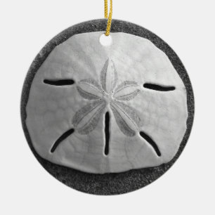 Sand Dollar Seashell Beach Ornamet Pendant Julgransprydnad Keramik