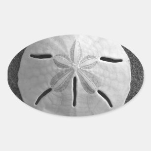 Sand Dollar Seashell Beach Sticker Ovalt Klistermärke