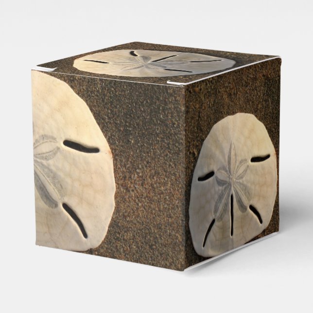 Sand Dollar Seashell Party Favor Anpassningsbar Gi Presentaskar (Framsidan Sidan)