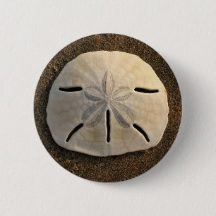 Sand Dollar Seashell Photo Anpassningsbar Pin Butt Knapp