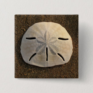 Sand Dollar Seashell Photo Button Anpassningsbar S Knapp