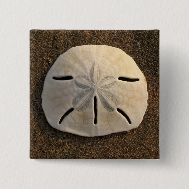 Sand Dollar Seashell Photo Button Anpassningsbar S Knapp (Framsida)