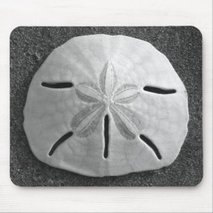 Sand Dollar Seashell Sand Beach Mousepad Musmatta