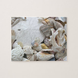 Sand Dollar Seashells Pussel