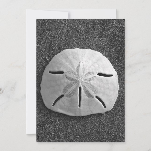 Sand Dollar Snäcka Beach-inbjudan (B&W-foto) Inbjudningar (Framsida)