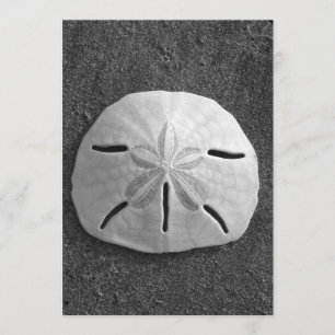Sand Dollar Snäcka Beach-inbjudan (B&W-foto) Inbjudningar