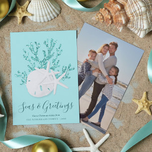 Sand Dollar Starfish Seas & Hälsning God Jul Julkort