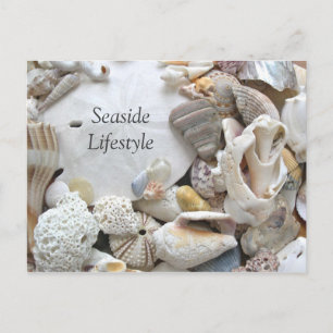 Sand Dollar Strandlivsstil Ny adress Meddelande Vykort