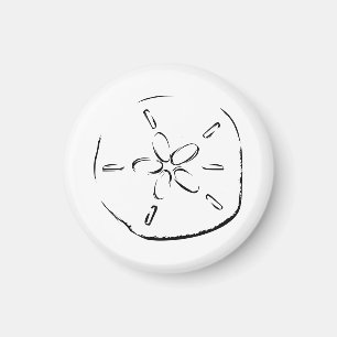 Sand Dollar Teckning Magnet